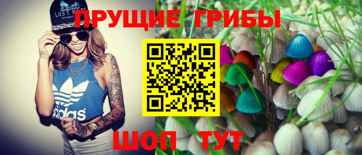 Галлюциногенные грибы Magic Shrooms Благодарный