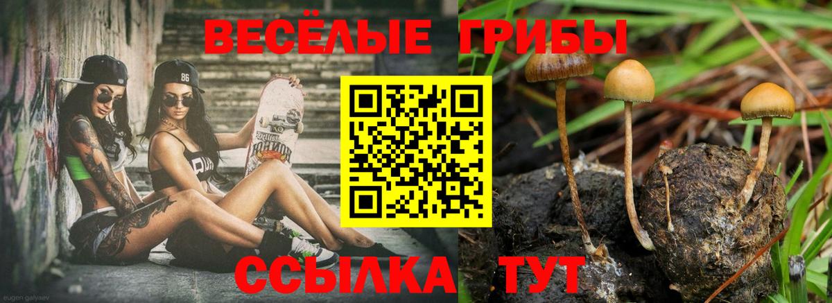 Благодарный  Псилоцибиновые грибы ЛСД  Вход с VPN 