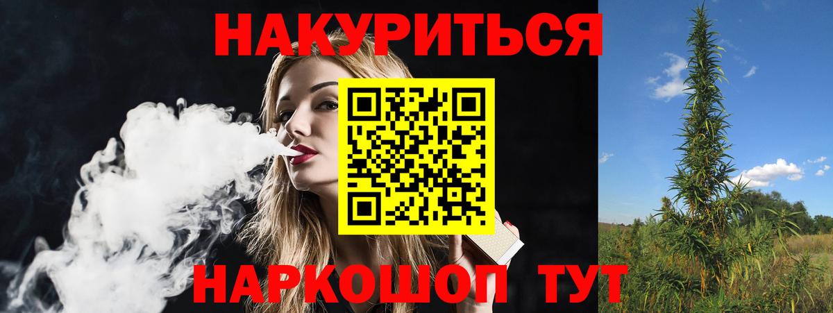 Каннабис индика  Бошки Шишки план  Канабис VHQ  Канабис план  Благодарный  Вход с VPN 
